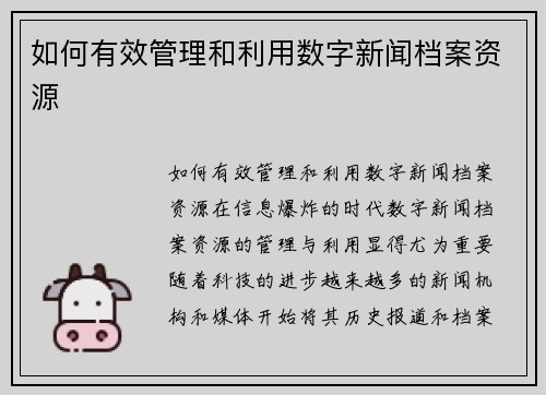 如何有效管理和利用数字新闻档案资源